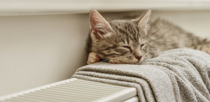 100 % förnybar värme