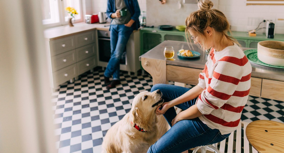 Hund tittar på sin matte i ett kök